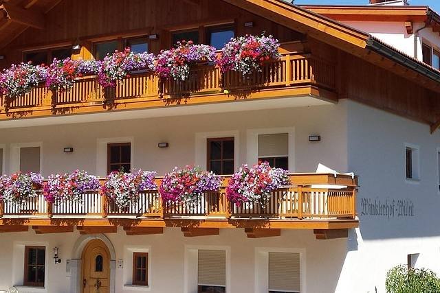 Canenfvcbvbvvb 9088fgfg887 640 Canenfvcbvbvvb 9088fgfg887 640